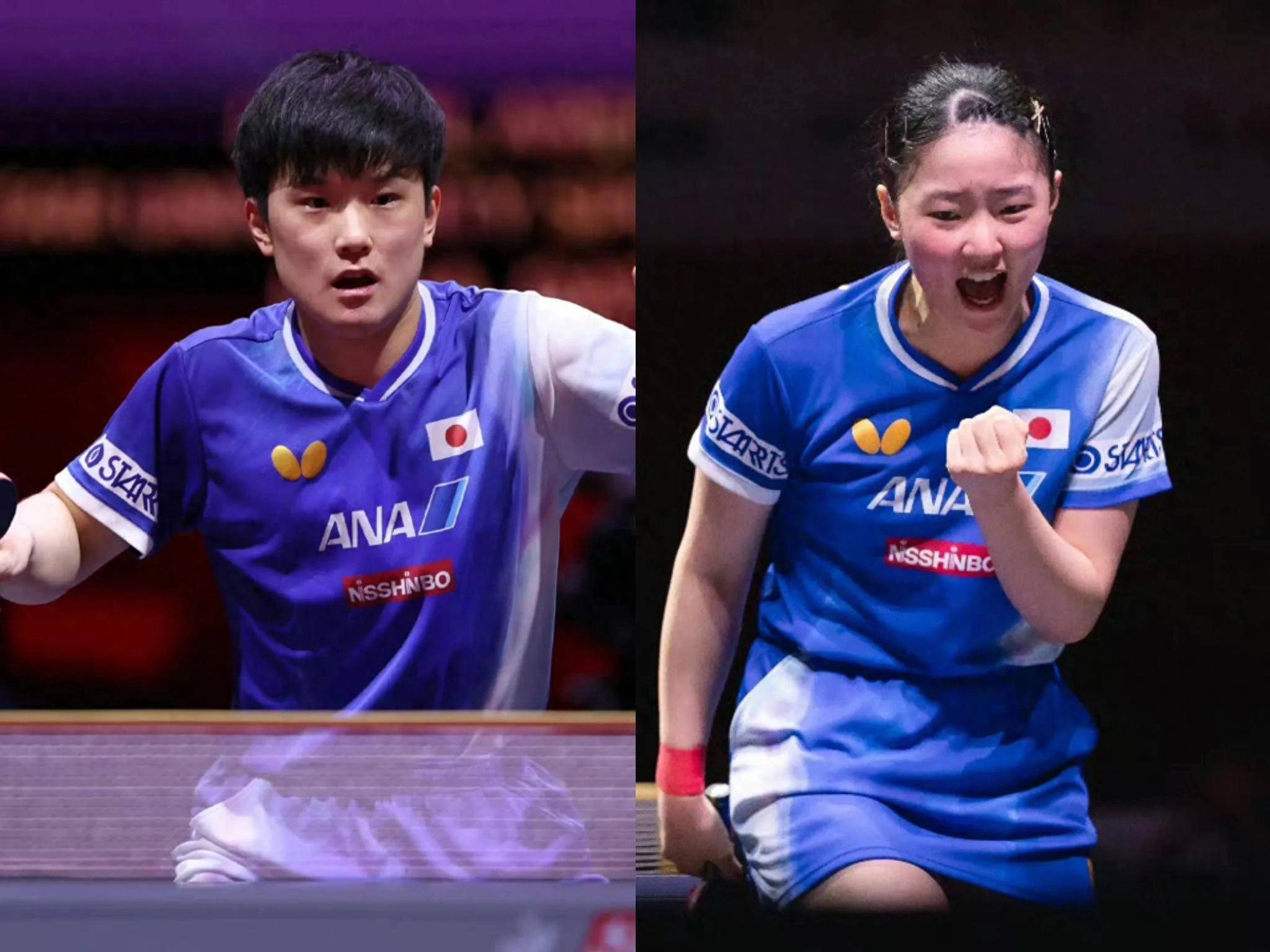 开云下载-中国队力克葡萄牙队，张本智和状态火热