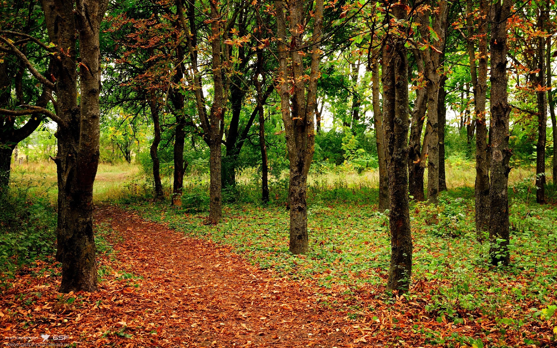 开云体育在线-奥纳纳神兵天降，墨西哥一剑封喉，当钢铁防线铸就绿茵传奇