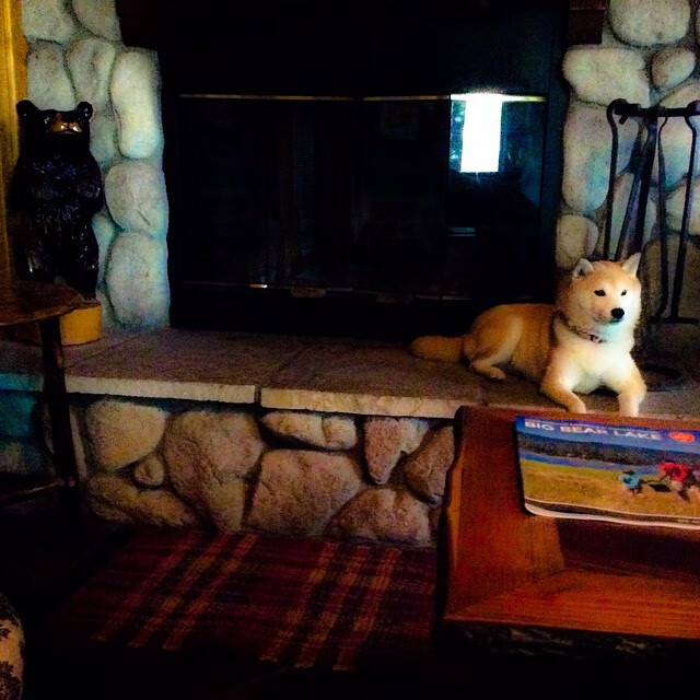 开云体育APP下载-钢铁狂澜席卷街头，北京队终结17年魔咒，狂飙冲垮老鹰王朝！